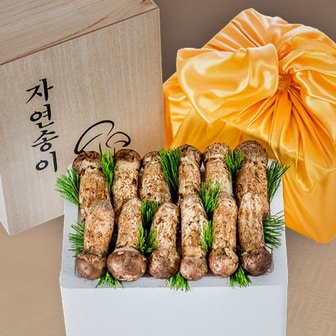 산해직송 국내산 자연송이 버섯 (냉동) C급(3등품) 500g 선물세트