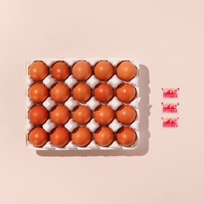[제주애월아빠들] 화산석 구운란 20구 (800g)