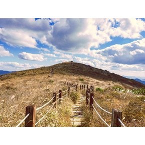 [영남알프스 1박2일/리무진] 간월산 / 신불산 / 천황산 / 재약산 영남알프스 4봉 챌린지 산행