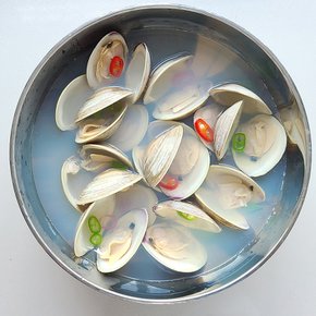 [오늘의바다] 백합조개 (백상합) 1kg