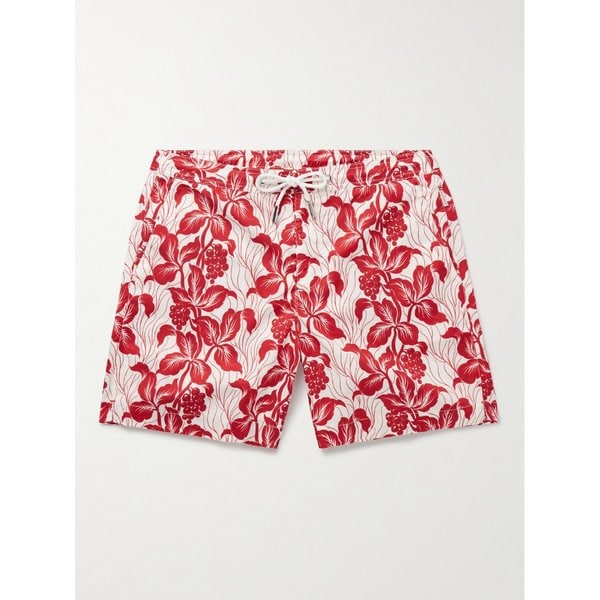 불독 페트랄리스 스트레이트 레그 미드 렝스 프린트 스윔 쇼츠 46376663162938613