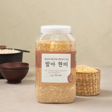 발아 현미 2kg