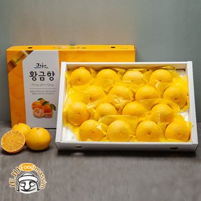 서귀포 현가원 황금향 5kg (21-25과, 실중량)