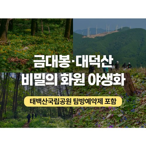 https://media.eoding.com/media/travelagent/40/imagecontent/26_당일__트레킹_1_dEVb62R.jpg