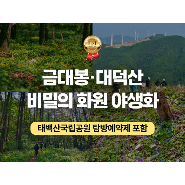 확대된 대표 https://media.eoding.com/media/travelagent/40/imagecontent/★26_당일 트레킹 (6).jpg