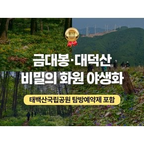 [B0360124] [당일/7~8월] `나만 알고 싶은 야생화 명소` 금대봉~검룡소/대덕산 (태백산국립공원 탐방예약제 포함)