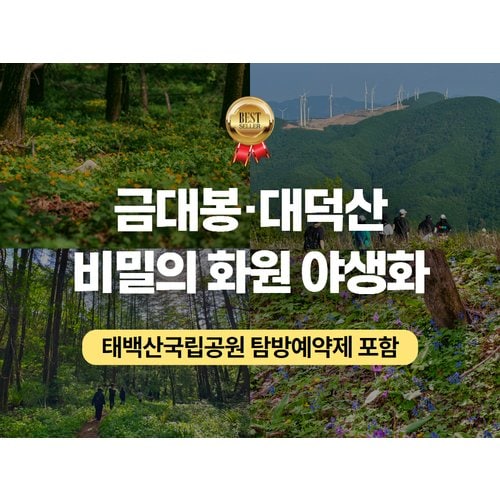 https://media.eoding.com/media/travelagent/40/imagecontent/★26_당일 트레킹 (6).jpg