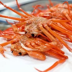 산해직송 동해안 자숙 홍게 정품 3kg 10미내외