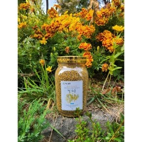 지리산 벌꿀 꽃가루 건조 화분 비폴텐 BEEPOLLEN 1kg 청정지역 건강한 벌들이 만든 벌화분