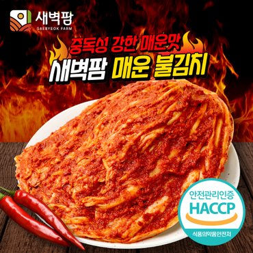  새벽팜 매운 불김치 2kg 전라도김치 참매실 배추 실비김치