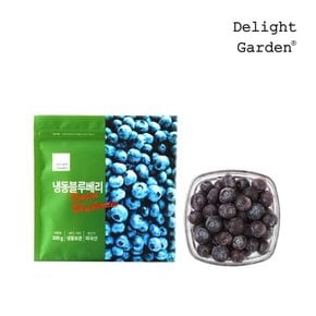 냉동 블루베리 300g x 5