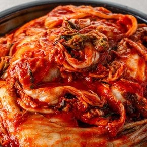 [명작김치] 맛있게 매운 실비 겉절이 2kg