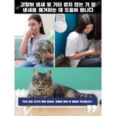 소형 미니 공기청정기 음이온 살균 탈취 제거 공기청정기