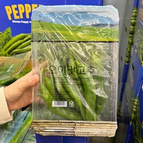 트레이더스 오이맛 고추 1팩