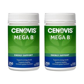 세노비스 메가 비타민 B 250정 2개
