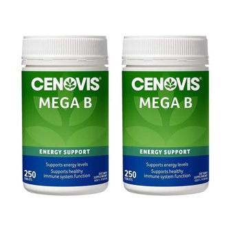  세노비스 메가 비타민 B 250정 2개