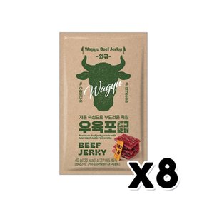 항진 와규 우육포 술안주간식40g  x 8개