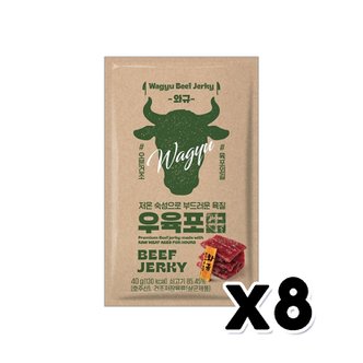  항진 와규 우육포 술안주간식40g  x 8개