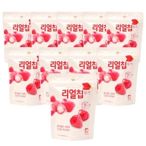 리얼칩 딸기 13g x 10개  자연의 맛을 그대로, 바삭한 딸기칩