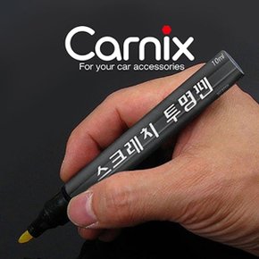 자동차 흠집제거 타이푼 매직펜/기스제거/스크래치제거