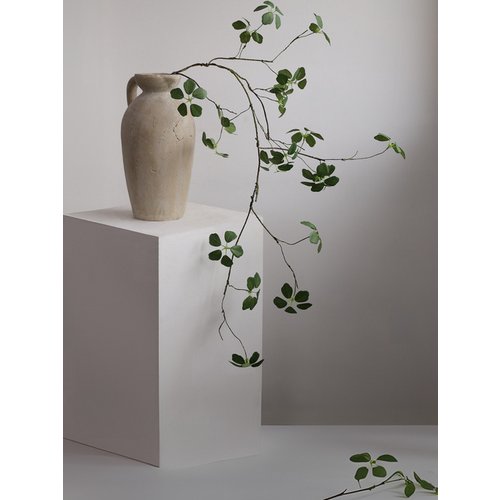 Add Image 1