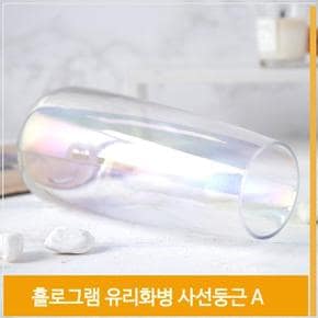 인테리어 화병 유리 홀로그램 꽃병 A H22cm 장식 소품 (S7702372)