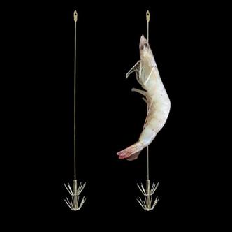 제이큐 UST 갑오징어 생미끼바늘 생새우 채비 호래기 쭈꾸미 오징어 한치 문어 2개입 X ( 4세트 )