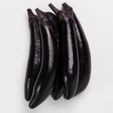 프레베 축양가지 2개