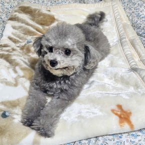 고양이 강아지 반려동물 부드러운 담요 애착 이불 밍크 극세사