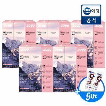 2080 퓨어 마운틴 솔트 치약 핑크민트향 120g x 15개 (증정지급)