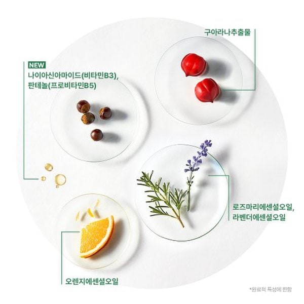 [3+1/1만원상품권] 포티샤&토뉘시아 샴푸 트리오(+포티샤 마스크 600ml+미니볼륨브러쉬 증정)