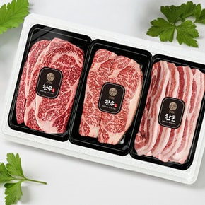 한우 한돈 설 선물세트 1호 등심·채끝·삼겹살 총량1.2kg