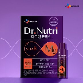 [CJ공식] 마그엔비맥스 9입 1박스