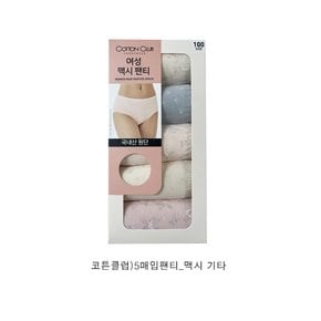5매입맥시팬티
