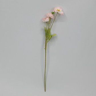 4. 양귀비 조화 포..