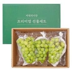 프리미엄  샤인머스캣 2kg 특품 (3수) 선물세트
