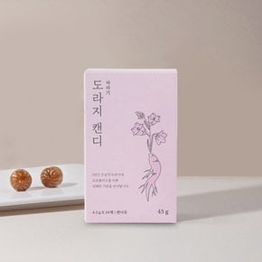 바라기 프로폴리스 도라지캔디 단상자 45g