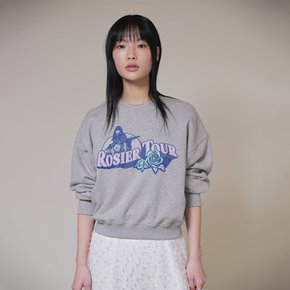 ROSIER Graphic Sweatshirt in Grey VW4SE028-12