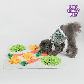 반려동물 스니핑 당근 노즈워크 매트