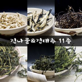 고흥건나물, 경산대추 5/20 맛템 건식품 모음전