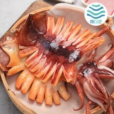 [국내산][해다원]해를품은 반건조오징어 왕특대5미(900~1.1kg)