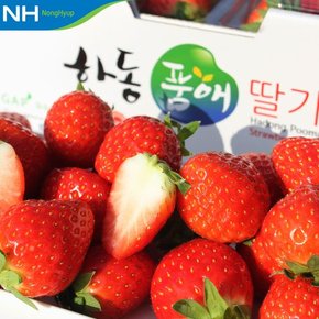 하동 옥종농협 딸기 2kg(상) 실중량