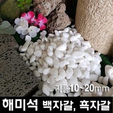 20kg 1포 D10~20mm - 해미석 백자갈 흑자갈 그레이자갈 멀칭재 디딤석 디딤돌 사이 정원 마당