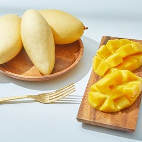 [잇츠팜] 태국 남독마이 골드망고 1kg(2-4과)