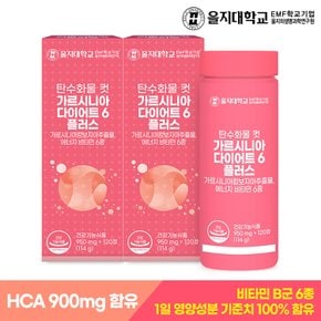 탄수화물 컷 가르시니아 다이어트6 플러스 120정x2개(4개월분)