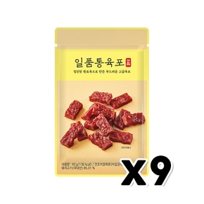 홍선 일품통육포 술안주간식 40g x 9개