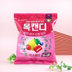 롯데웰푸드 믹스베리 목캔디 217g / 대용량