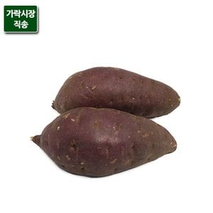 팸쿡 가락시장직송 고구마 5kg