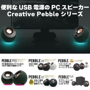 Creative Pebble Pro USBBluetooth3.5mm 20W RMS 60W USB Type-CA SP-PBLPRO-GR 알파인 그린 핀