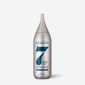 더 프리미엄 트리트먼트 210ml 1개